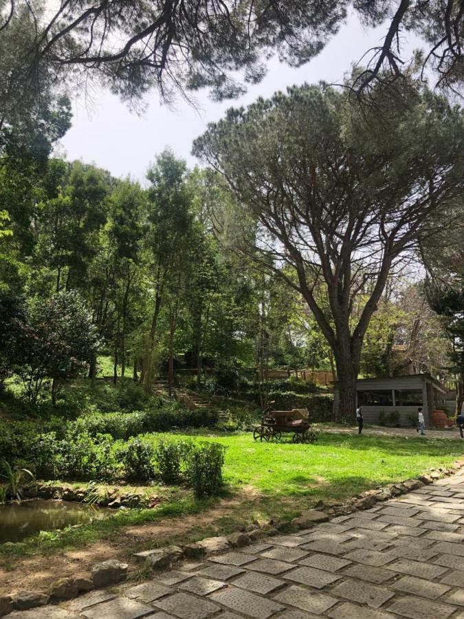 Villa Musolino - Country Resort Messina Exterior foto